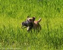 20170604-seal-0852