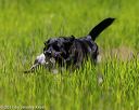 20170604-seal-0937