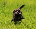 20170604-seal-1042