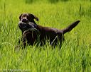 20170604-seal-1053