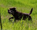 20170604-seal-1055