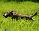 20170604-seal-1145