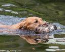 20170604-seaw-0009