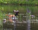 20170604-seaw-0014