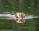 20170604-seaw-0278