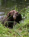 20170604-seaw-0342