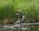 20170604-seaw-0493
