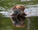 20170604-seaw-0503
