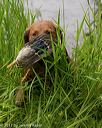 20170604-seaw-0513