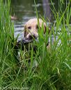 20170604-seaw-0572