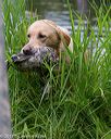 20170604-seaw-0575