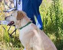 20170716-wcl-0001