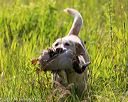 20170716-wcl-0013