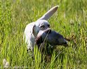 20170716-wcl-0055