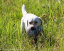 20170716-wcl-0056