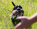 20170716-wcl-0181