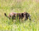 20170716-wcl-0185