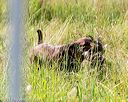 20170716-wcl-0189