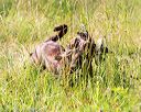 20170716-wcl-0192