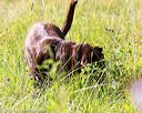 20170716-wcl-0203