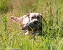 20170716-wcl-0265