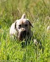20170716-wcl-0275