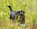 20170716-wcl-0286