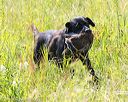 20170716-wcl-0319
