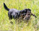 20170716-wcl-0323