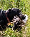 20170716-wcl-0352