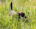 20170716-wcl-0397