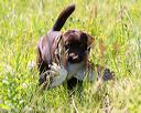 20170716-wcl-0404