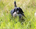 20170716-wcl-0424