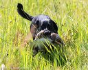 20170716-wcl-0510