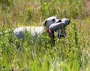 20170716-wcl-0526