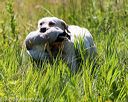 20170716-wcl-0537