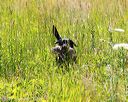 20170716-wcl-0549