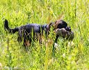 20170716-wcl-0558