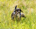 20170716-wcl-0575