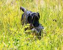 20170716-wcl-0583