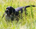20170716-wcl-0630