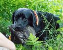 20170716-wcw-0077