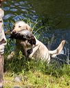 20170716-wcw-0663