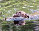 20170716-wcw-0757