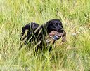 20170716-wcxl-0015