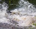 20170716-wcxw-1031