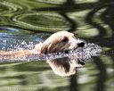 20170716-wcxw-1057