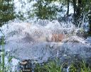 20170716-wcxw-1061