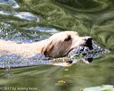 20170716-wcxw-1144