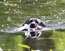 20170716-wcxw-1169